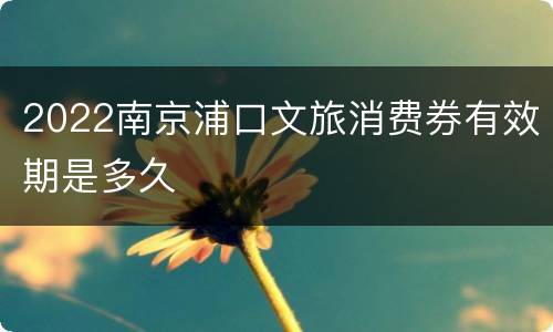 2022南京浦口文旅消费券有效期是多久