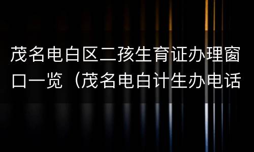 茂名电白区二孩生育证办理窗口一览（茂名电白计生办电话）