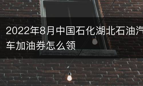 2022年8月中国石化湖北石油汽车加油券怎么领