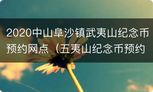 2020中山阜沙镇武夷山纪念币预约网点（五夷山纪念币预约公告）