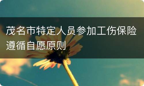 茂名市特定人员参加工伤保险遵循自愿原则