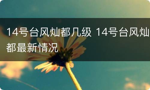 14号台风灿都几级 14号台风灿都最新情况