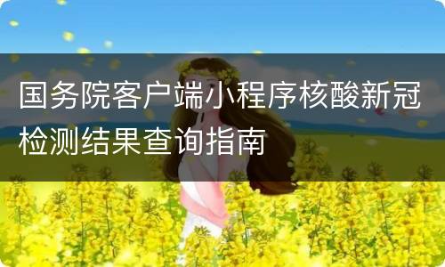 国务院客户端小程序核酸新冠检测结果查询指南