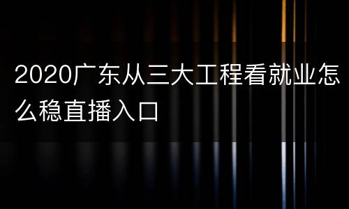 2020广东从三大工程看就业怎么稳直播入口