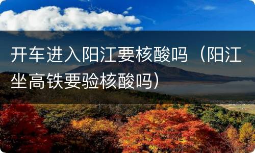 开车进入阳江要核酸吗（阳江坐高铁要验核酸吗）