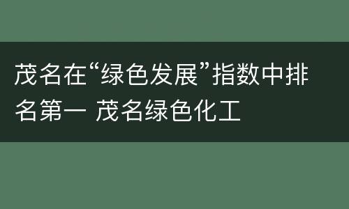 茂名在“绿色发展”指数中排名第一 茂名绿色化工