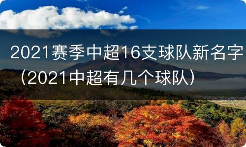 2021赛季中超16支球队新名字（2021中超有几个球队）