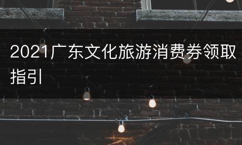 2021广东文化旅游消费券领取指引
