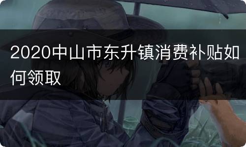 2020中山市东升镇消费补贴如何领取