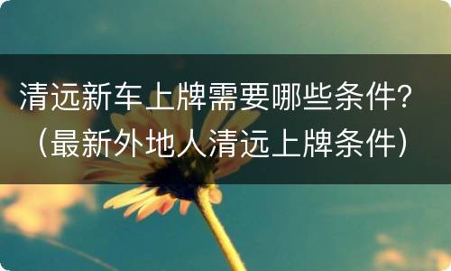清远新车上牌需要哪些条件？（最新外地人清远上牌条件）