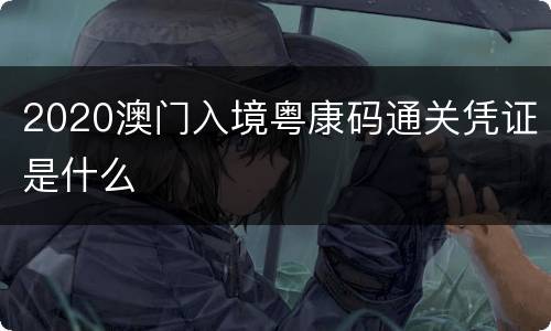 2020澳门入境粤康码通关凭证是什么