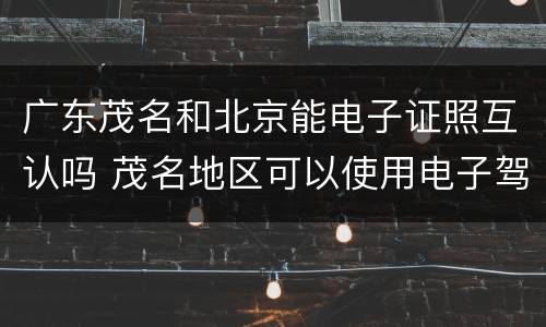 广东茂名和北京能电子证照互认吗 茂名地区可以使用电子驾驶证吗