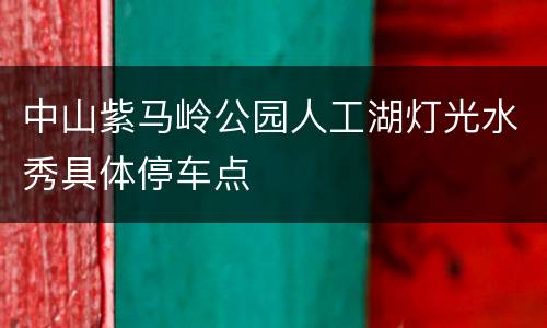 中山紫马岭公园人工湖灯光水秀具体停车点