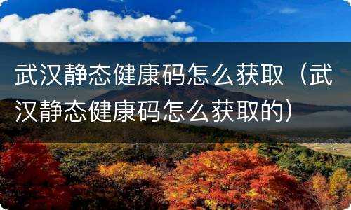 武汉静态健康码怎么获取（武汉静态健康码怎么获取的）