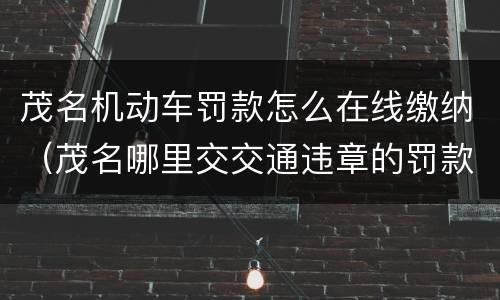 茂名机动车罚款怎么在线缴纳（茂名哪里交交通违章的罚款）