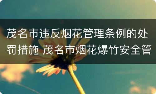 茂名市违反烟花管理条例的处罚措施 茂名市烟花爆竹安全管理条例