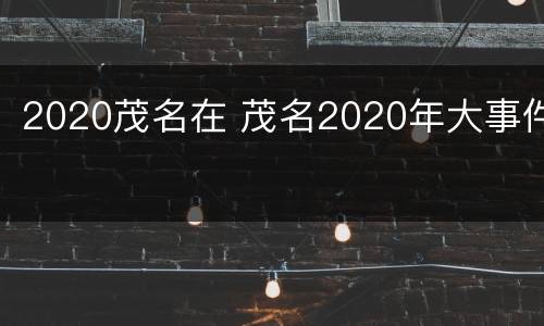 2020茂名在 茂名2020年大事件