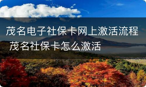 茂名电子社保卡网上激活流程 茂名社保卡怎么激活