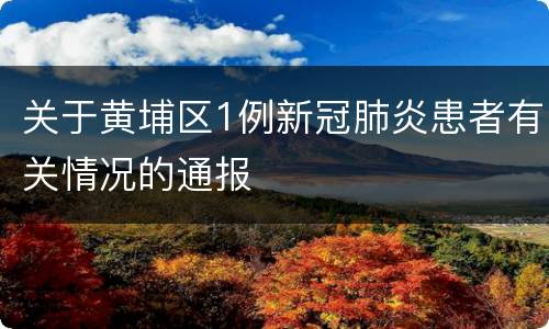 关于黄埔区1例新冠肺炎患者有关情况的通报
