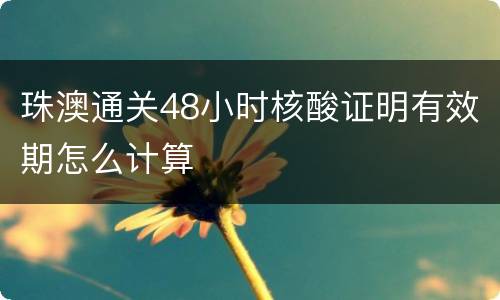 珠澳通关48小时核酸证明有效期怎么计算