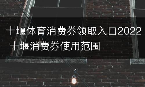 十堰体育消费券领取入口2022 十堰消费券使用范围