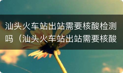 汕头火车站出站需要核酸检测吗（汕头火车站出站需要核酸检测吗今天）