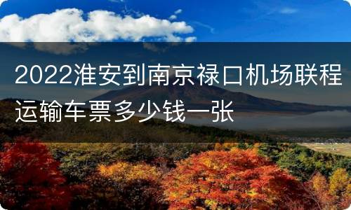 2022淮安到南京禄口机场联程运输车票多少钱一张
