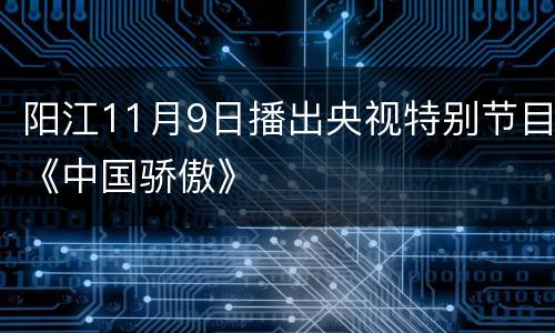 阳江11月9日播出央视特别节目《中国骄傲》