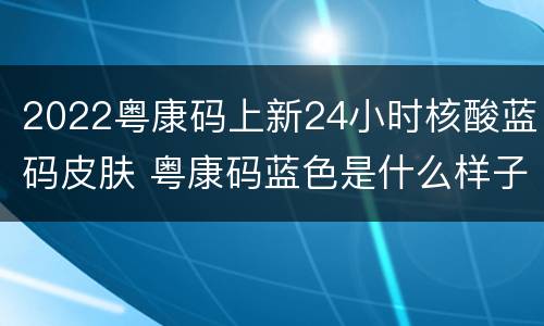2022粤康码上新24小时核酸蓝码皮肤 粤康码蓝色是什么样子