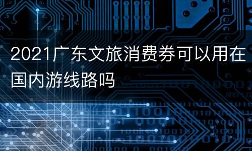2021广东文旅消费券可以用在国内游线路吗