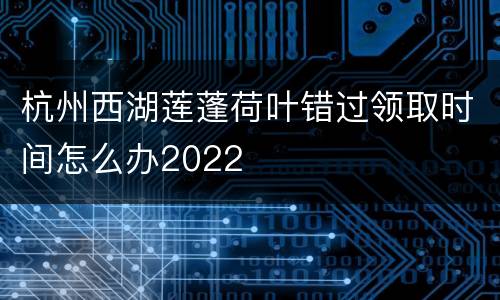 杭州西湖莲蓬荷叶错过领取时间怎么办2022