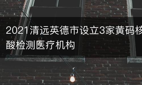 2021清远英德市设立3家黄码核酸检测医疗机构