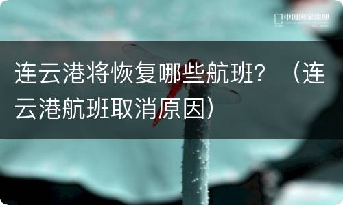 连云港将恢复哪些航班？（连云港航班取消原因）