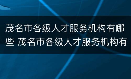 茂名市各级人才服务机构有哪些 茂名市各级人才服务机构有哪些企业