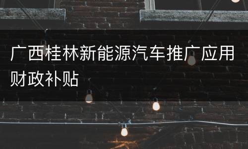 广西桂林新能源汽车推广应用财政补贴