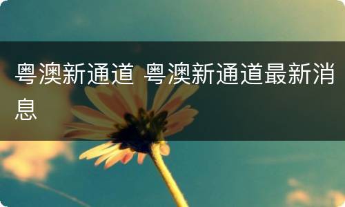 粤澳新通道 粤澳新通道最新消息