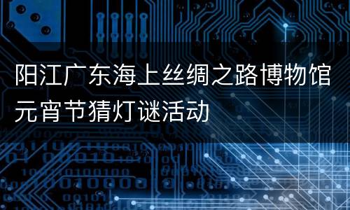 阳江广东海上丝绸之路博物馆元宵节猜灯谜活动