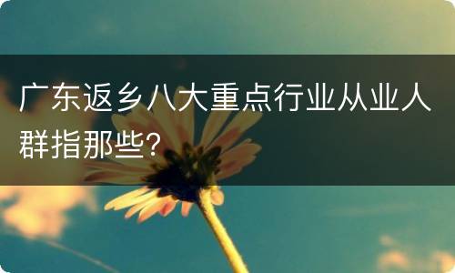广东返乡八大重点行业从业人群指那些？