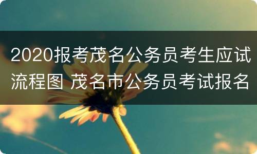 2020报考茂名公务员考生应试流程图 茂名市公务员考试报名时间