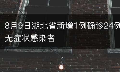 8月9日湖北省新增1例确诊24例无症状感染者