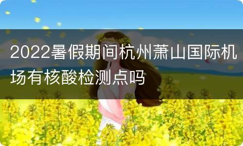 2022暑假期间杭州萧山国际机场有核酸检测点吗