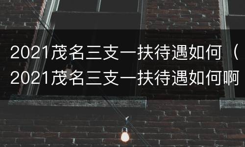 2021茂名三支一扶待遇如何（2021茂名三支一扶待遇如何啊）