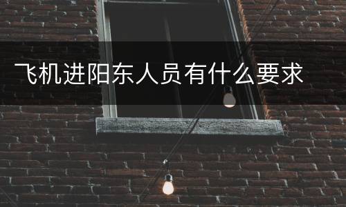 飞机进阳东人员有什么要求