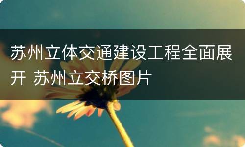 苏州立体交通建设工程全面展开 苏州立交桥图片