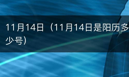 11月14日（11月14日是阳历多少号）