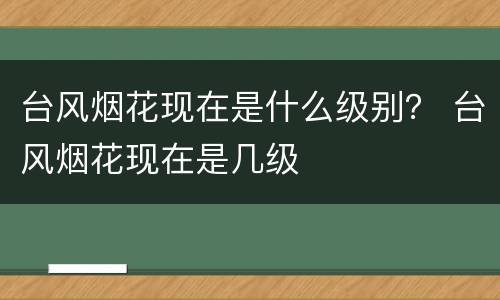 台风烟花现在是什么级别？ 台风烟花现在是几级