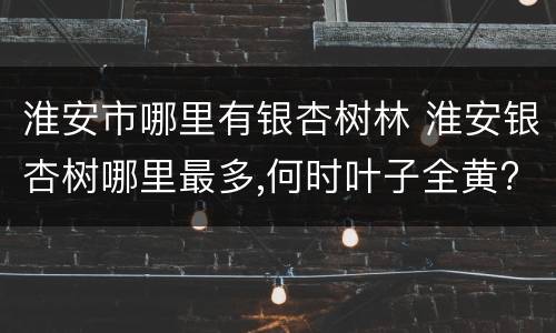 淮安市哪里有银杏树林 淮安银杏树哪里最多,何时叶子全黄?