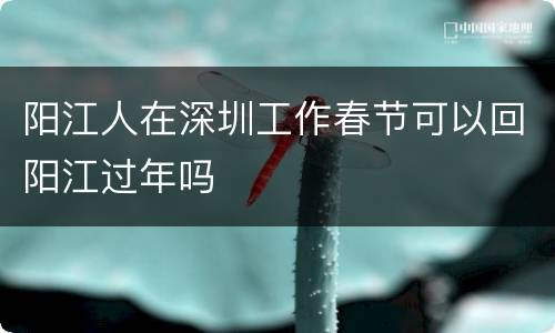 阳江人在深圳工作春节可以回阳江过年吗