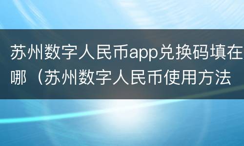 苏州数字人民币app兑换码填在哪（苏州数字人民币使用方法）