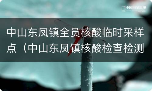 中山东凤镇全员核酸临时采样点（中山东凤镇核酸检查检测点）